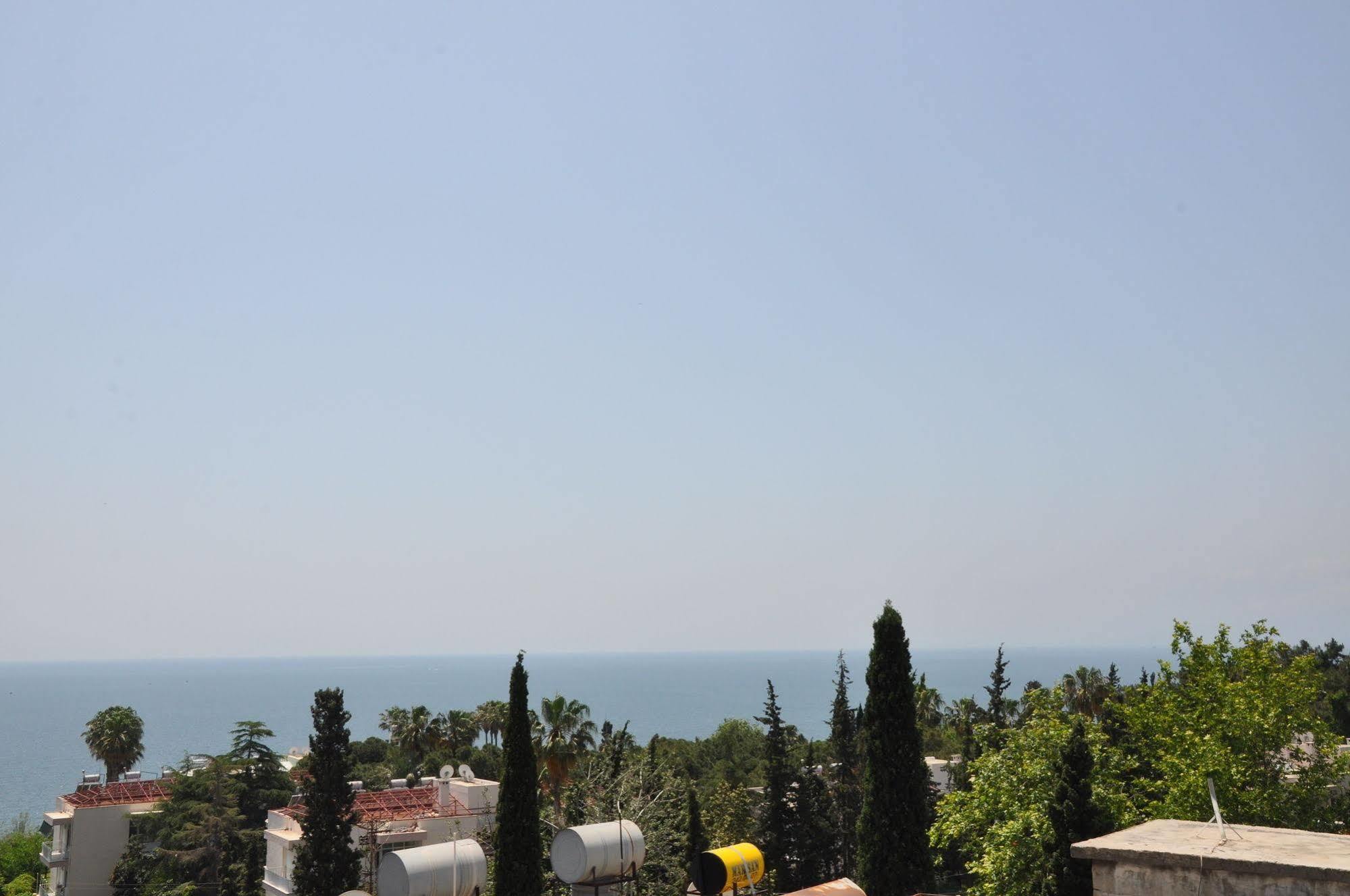 Otel Dimo 3*