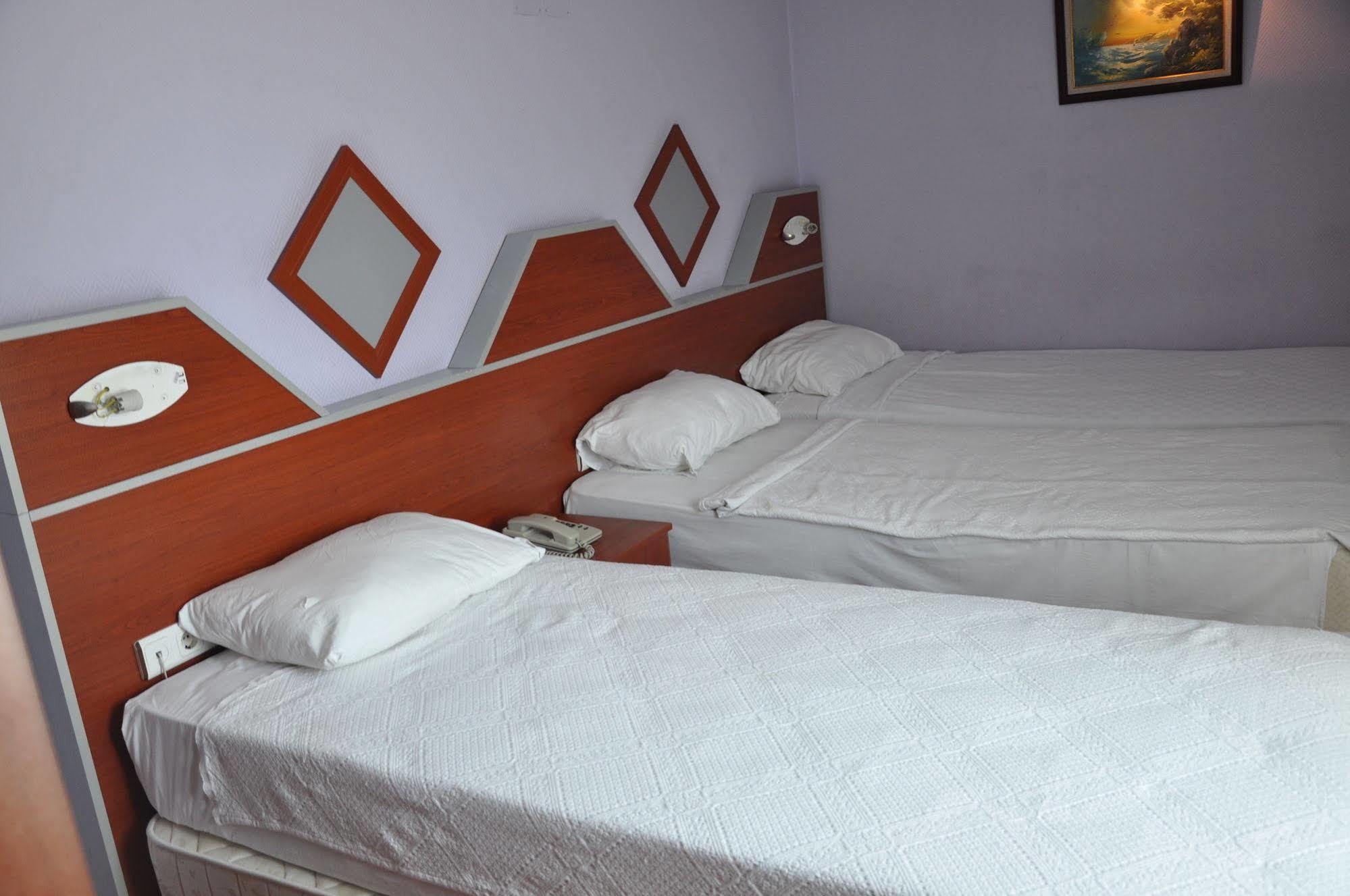 Otel Dimo 3*