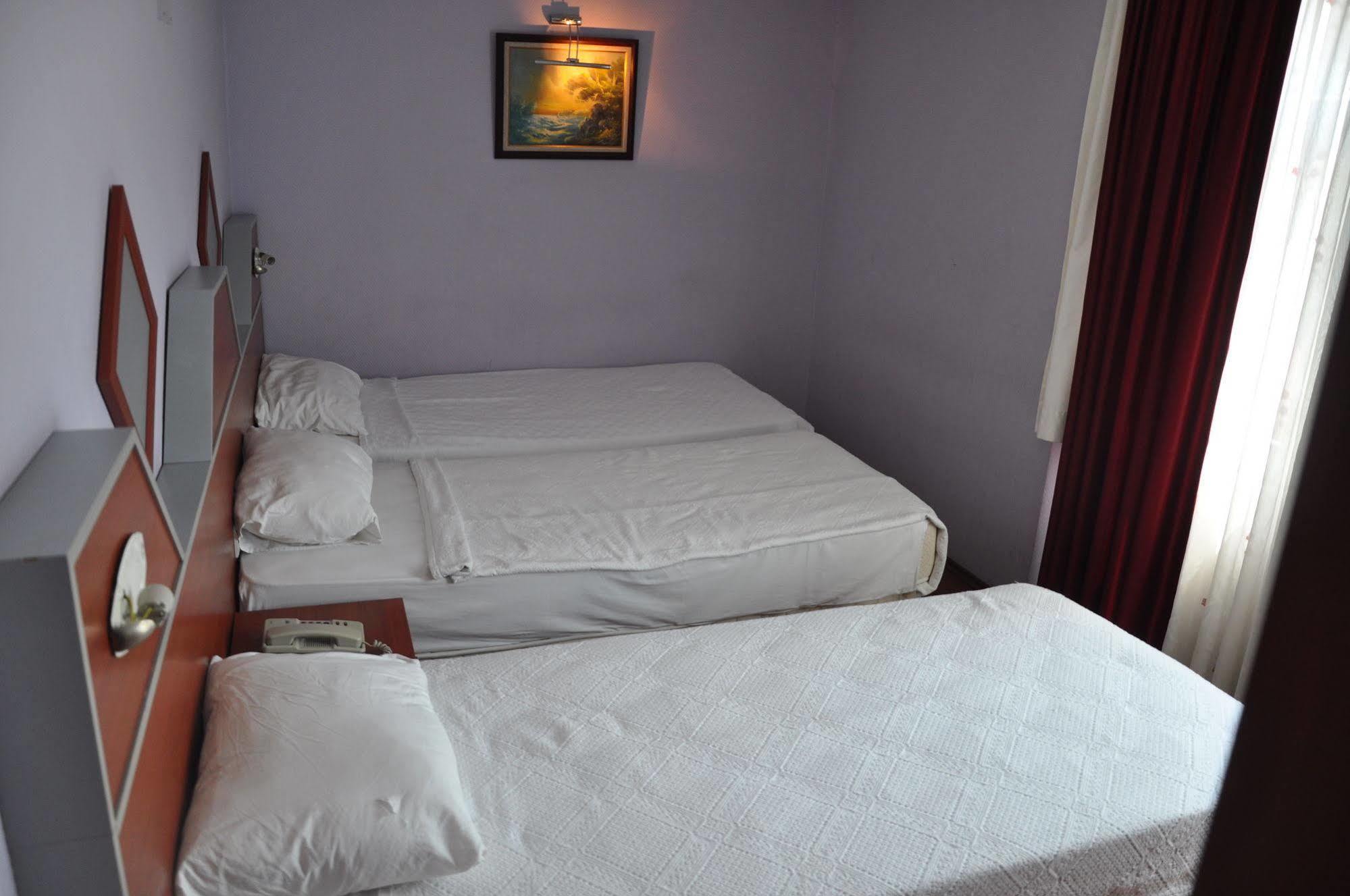 Otel Dimo 3*